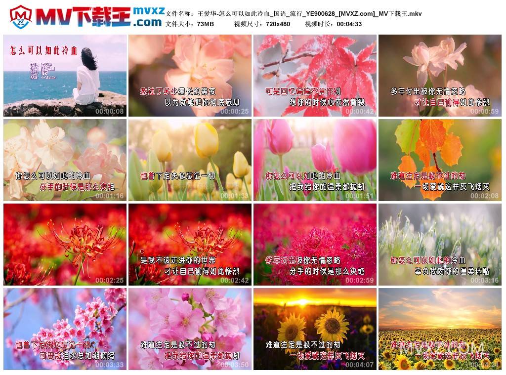 王爱华-怎么可以如此冷血_国语_流行_YE900628